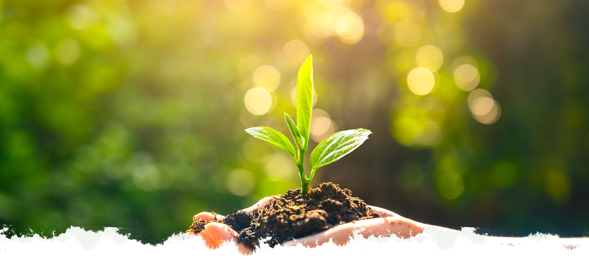 巅峰国际官网-不凡成就非凡,相信品牌力量