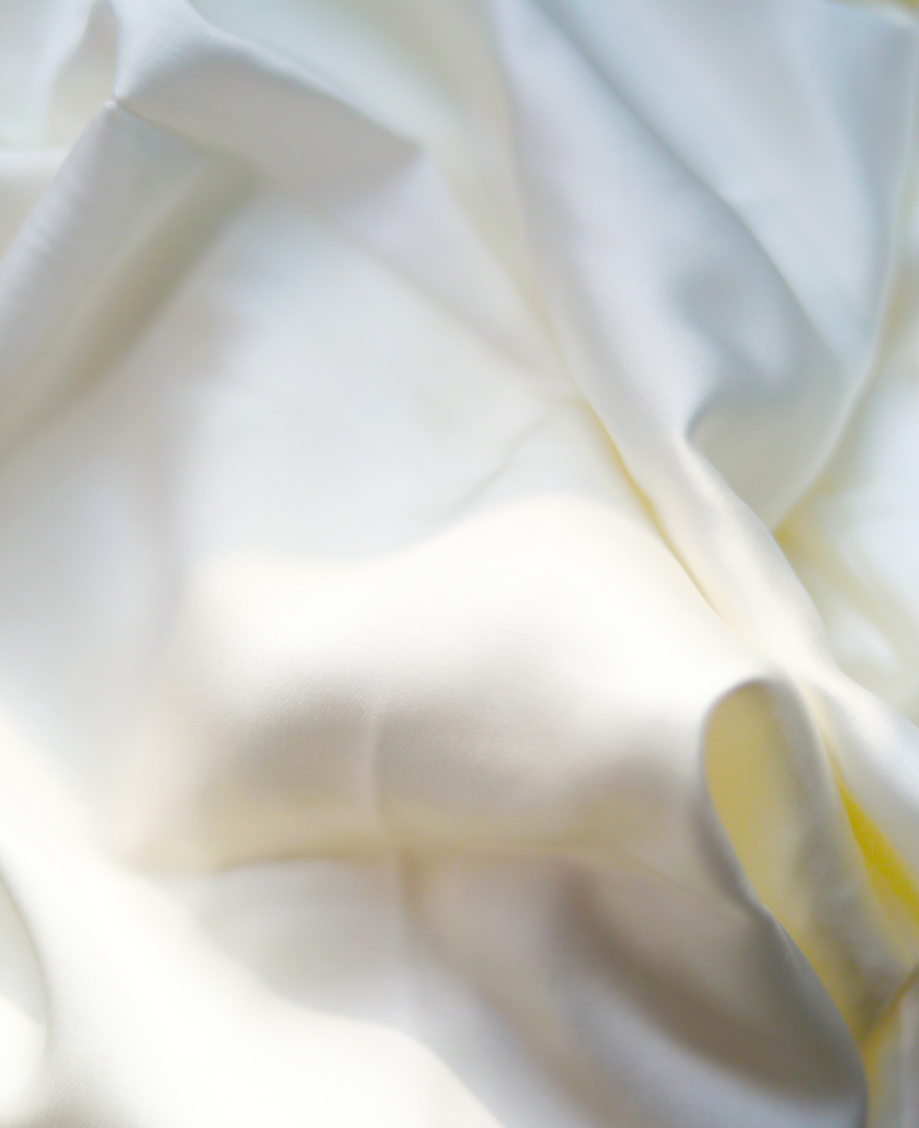 巅峰国际官网-不凡成就非凡,相信品牌力量