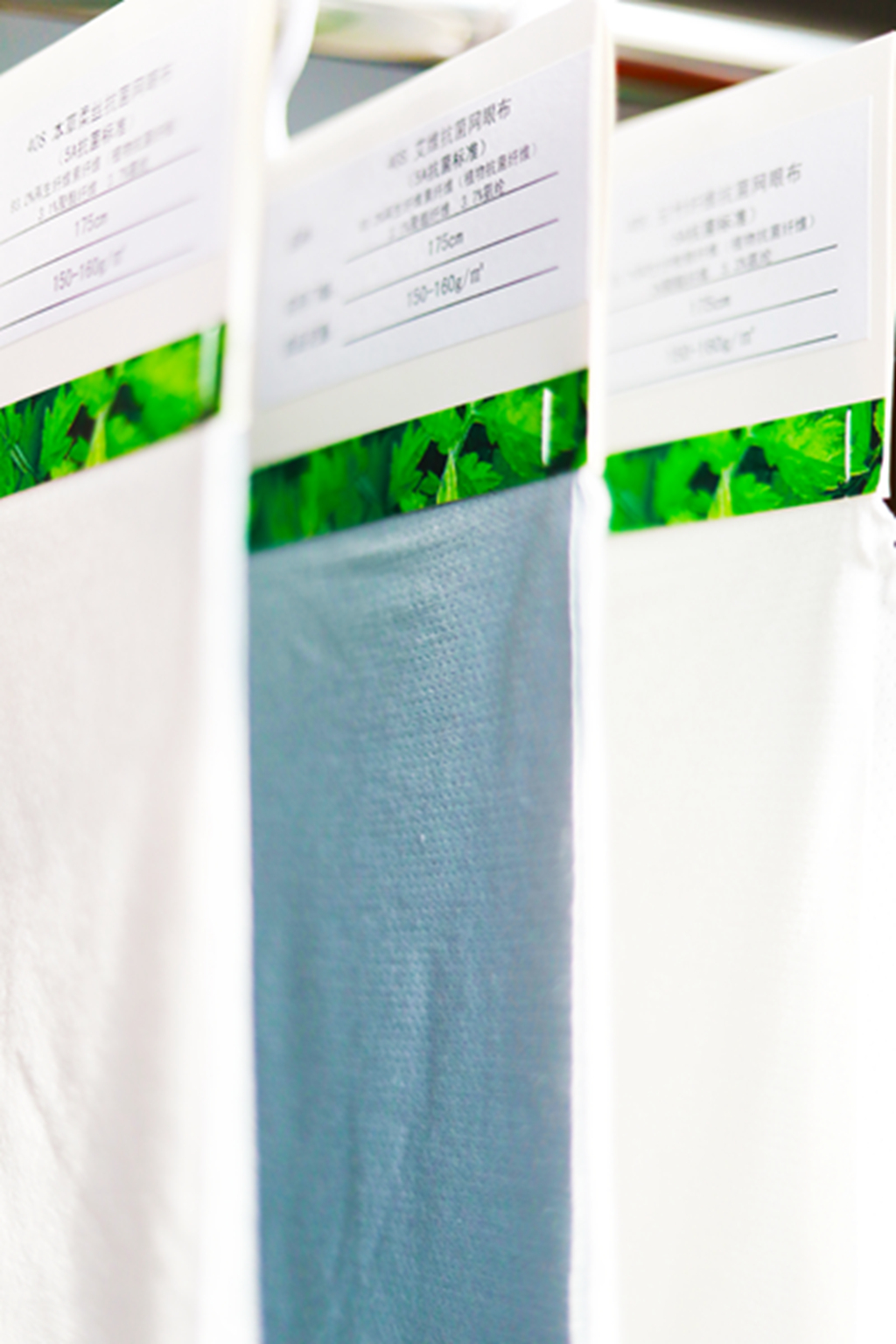 巅峰国际官网-不凡成就非凡,相信品牌力量