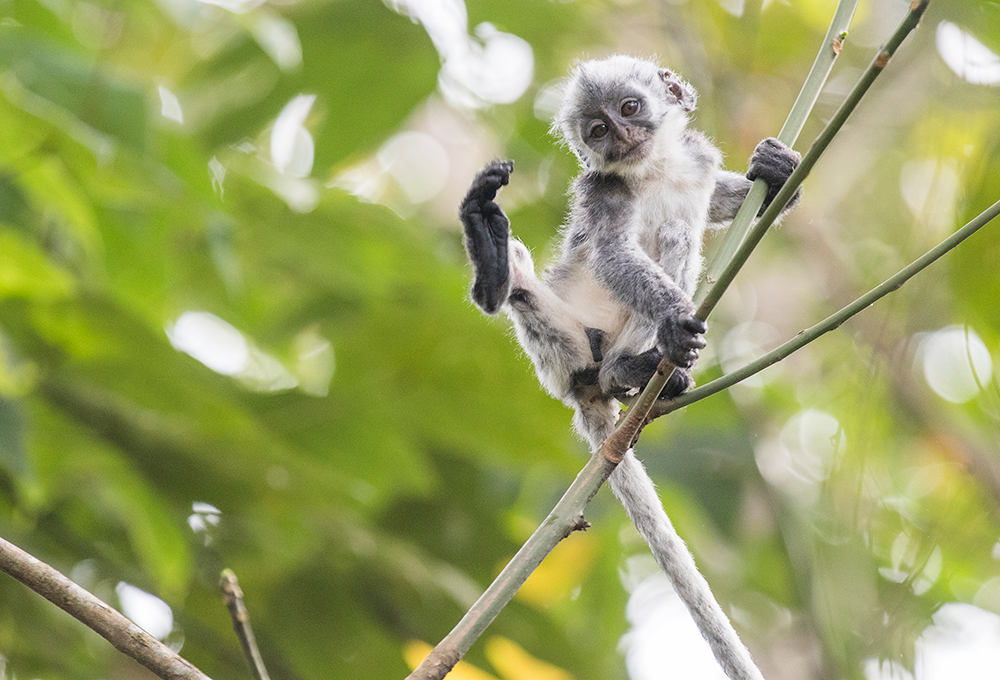 巅峰国际官网-不凡成就非凡,相信品牌力量